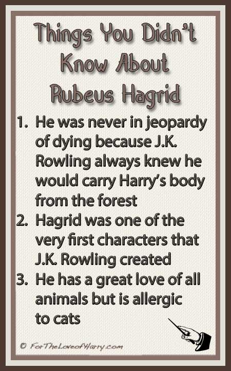 Rubeus Hagrid • For The Love Of Harry 7836