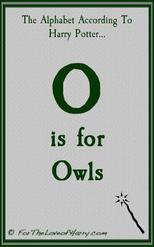 O is for Owls