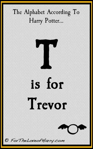 T is for Trevor