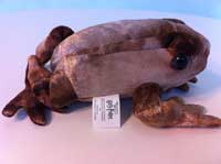 Trevor The Toad Plush Animal