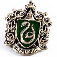 Slytherin Costume • For The Love of Harry