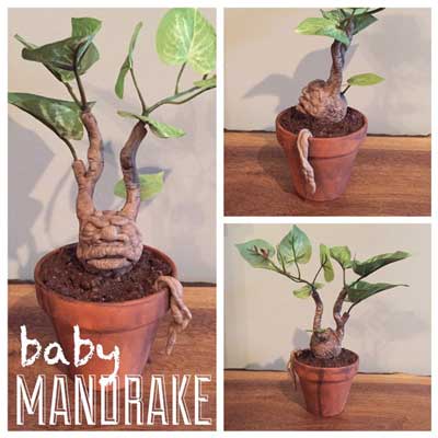 Potted mandrake root inspired by the Harry Potter films