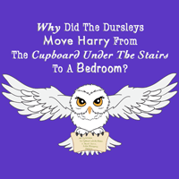 Movie #2 – Why Was Harry Moved From The Cupboard To A Bedroom?