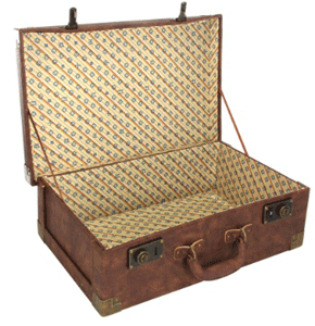Newt Scamander's Briefcase