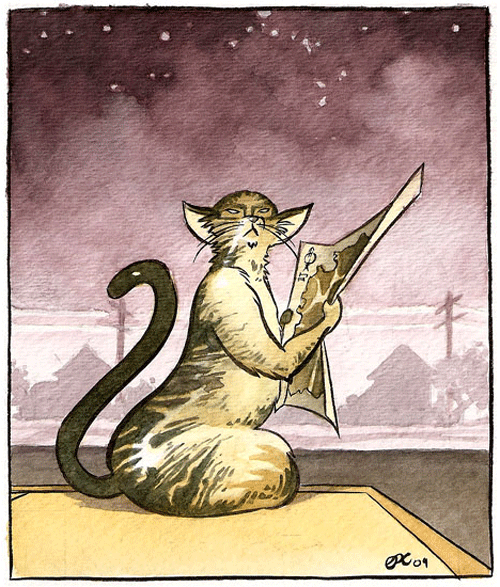 Professor Minerva McGonagall reading a map as she looks for 4 Privet Drive. #hp #harrypotter #potterhead #magic #cat #mcgonagall #minervamcgonagall