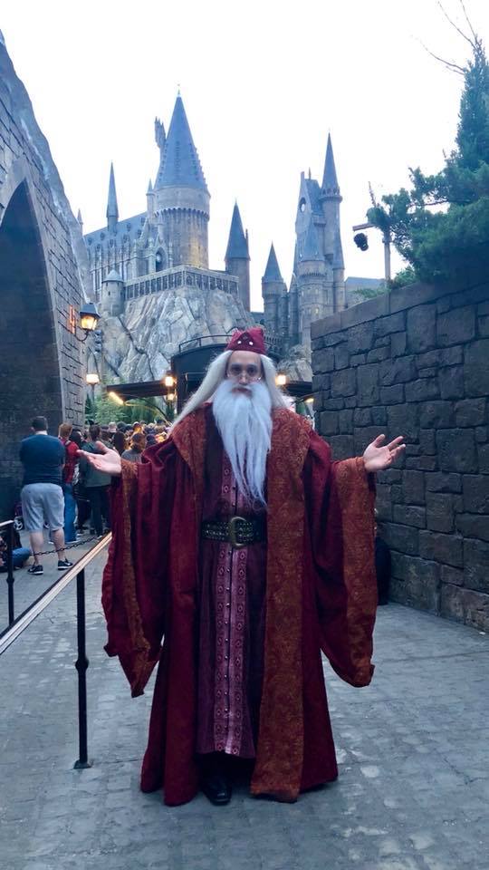 Dumbledore in front of Hogwarts. #hp #harryotter #celebrationofharrypotter ...