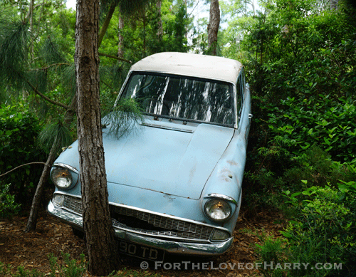 The Ford Anglia after it crashed into the Forbidden Forest. #hp #harrypotter #harrypotterfan #fordanglia